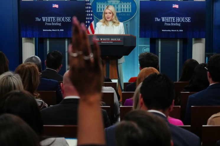 캐럴라인 레빗 미 백악관 대변인. AP연합뉴스