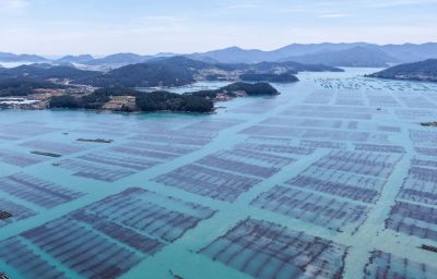 Six locations were selected for Wando County's 'Sea Forest Carbon Trading Pilot Project,' a greenhouse gas reduction initiative utilizing the marine ecosystem. Provided by Wando County