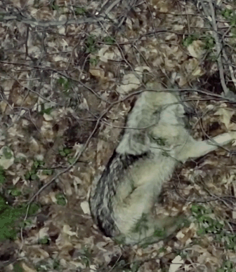 Daejeon City Instagram