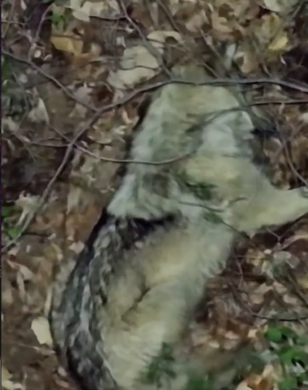 Daejeon City Instagram