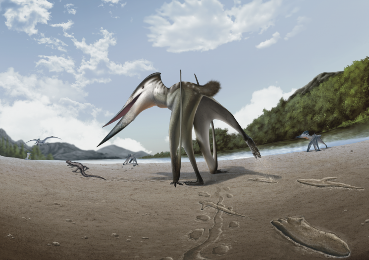 진주 익룡 복원도