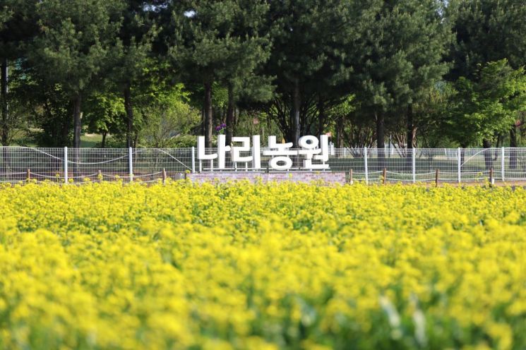 양주시가 오는 5월 9일부터 5월 17일까지 9일간 양주나리농원을 무료로 개장한다. 양주시 제공