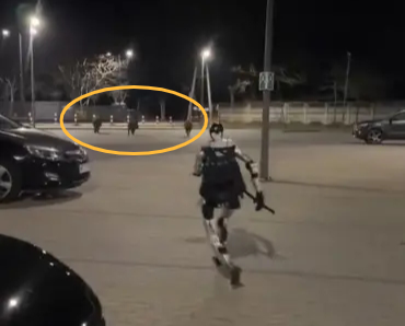 멧돼지 쫓는 로봇. 뉴욕포스트 캡처