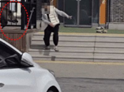 경기 가평군의 한 휴게소에 출몰한 멧돼지를 발견한 시민이 도망치고 있다. 인스타그램 캡처