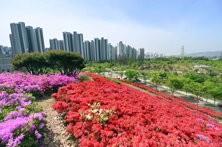 하남시 미사한강공원 2호 전망대 일대가 12만본의 선홍빛 철쭉으로 물들어 장관을 연출하고 있다. 하남시 제공