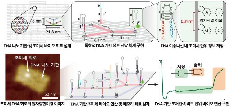DNA 기반 초미세·초저전력 연산이 가능한 바이오 메모리 회로 구현 설명도. KAIST
