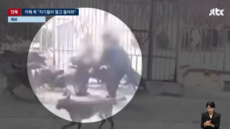 지난달 27일 경기 고양시에 있는 한 애견카페에서 맹견들이 20대 여성 A씨를 공격하는 모습. JTBC 방송화면 캡처