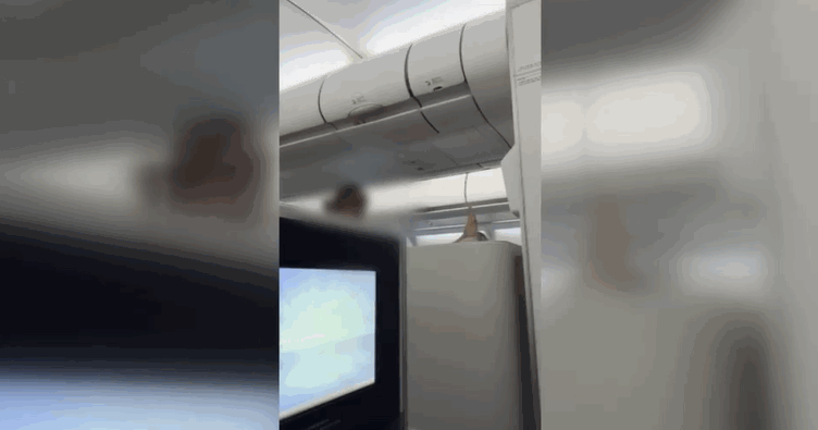 A passenger is stretching by placing their bare feet on the headrest of the seat inside the cabin. Screenshot from JTBC 'Incident Captain'