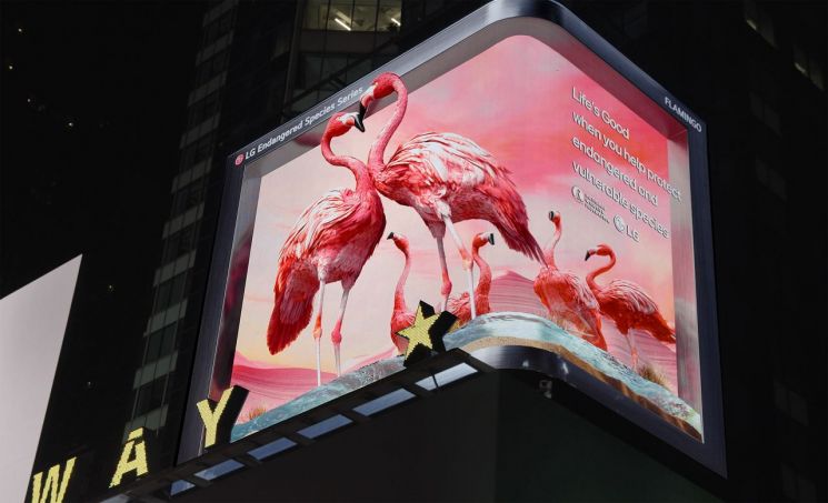 LG전자는 미국 뉴욕 타임스스퀘어 전광판 '플라밍고'를 주제로 한 9번째 ‘LG와 함께하는 위기 동물 보호 캠페인’ 영상을 공개했다. LG전자