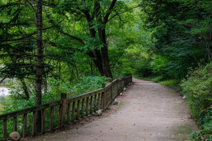 Hiking trail related image. Pixabay