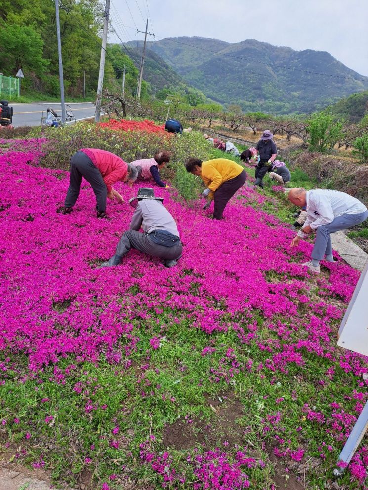 이서면 문수리에서 주민들이 '아름다운 마을 입구 및 깨끗한 지구 만들기' 행사에 참여하고 있다. 청도군 제공
