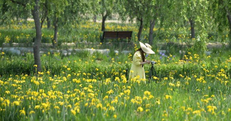 [사진 제공=거창군] 창포원 관광객 사진