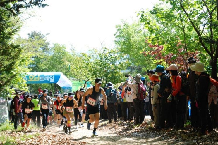 강원관광재단(대표이사 최성현)은 강원 트레일 관광 활성화를 위해 추진한 '오감트레일' 행사를 25일 원주 스무산둘레길 일원에서 약 1500명이 참여한 가운데 성황리에 마쳤다. 강원관광재단 제공