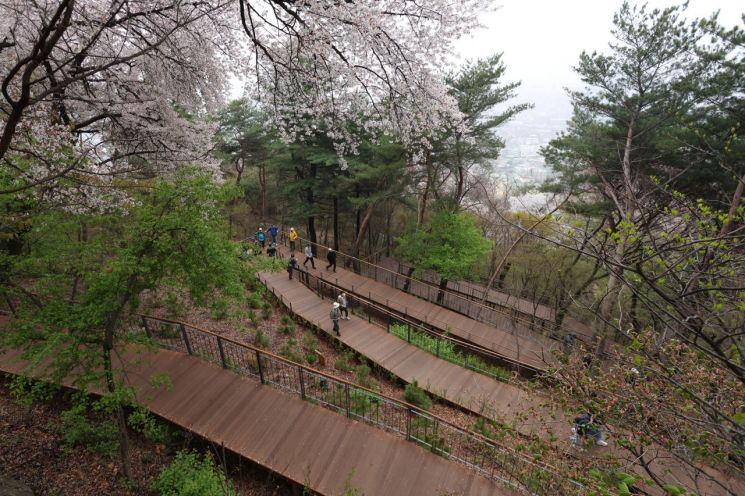 서울시는 보행약자를 위해 '남산 하늘숲길'을 무장애길로 조성했다. 서울시