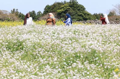 28일 광주와 전남 지역은 오전까지 비가 내릴 것으로 예보됐다. 사진은 27일 제주시 구좌읍 송당리 오름 정원을 찾은 외국인 관광객들이 봄을 만끽하고 있는 모습. 연합뉴스