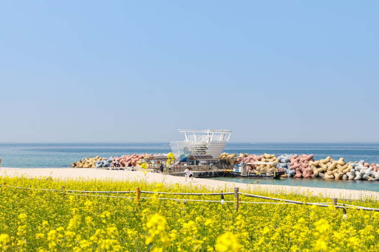 조용한 바다에서 만나는 슬로우 여행  5월의 추천여행지 '사근진 해변 멀티플 광장'. 지난해 모습. 강릉시 제공