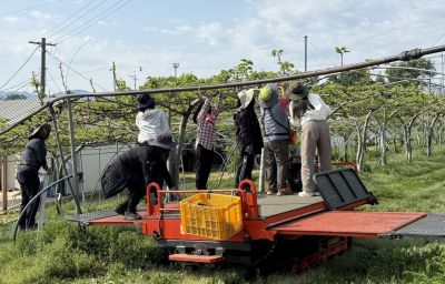 정읍시 "일손 부족한 농가 돕습니다" 현장 지원