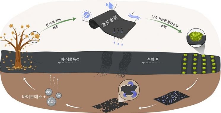 낙엽 필름의 순환 이용 개념도. KAIST