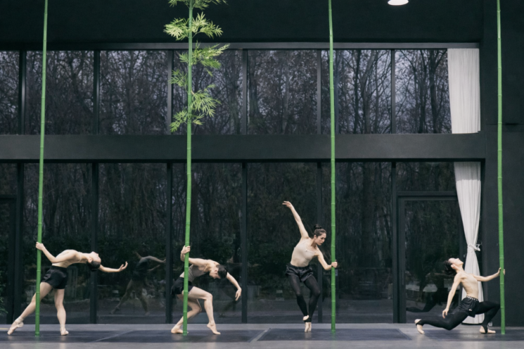 '인 더 밤부 포레스트(In The Bamboo Forest)' 연습 장면. 서울시발레단
