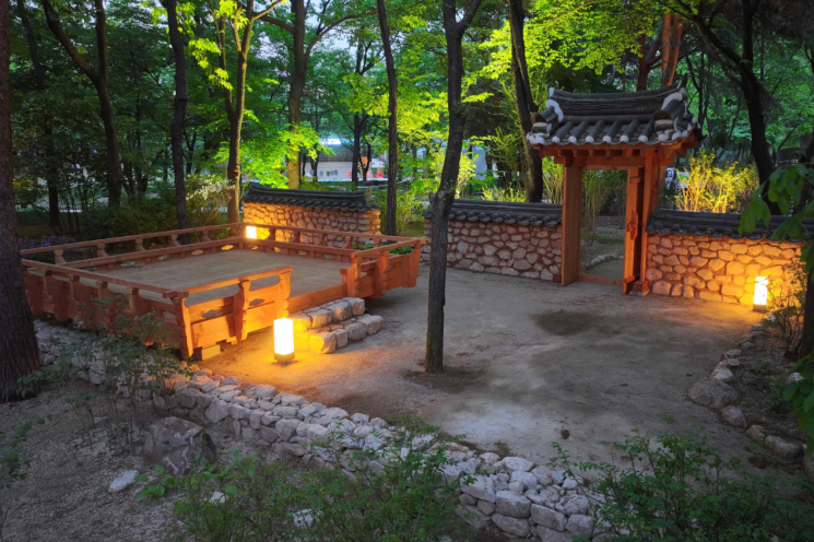 마당 전경.