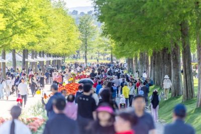 연휴 기간 국가정원에는 장미, 알리움, 아마릴리스, 꽃양귀비, 금낭화, 아이리스 등 형형색색의 봄꽃이 만개해 정원을 찾은 관람객들에게 압도적인 계절의 풍경을 선사했다. 순천시 제공