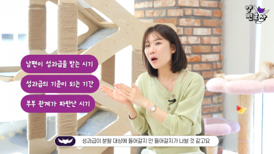 The issue of dividing performance bonuses during divorce proceedings is becoming an increasingly significant legal matter. Screenshot from Lawyer Yang Narae's YouTube channel