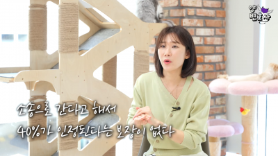 The issue of splitting performance bonuses during divorce proceedings is becoming a legally significant matter. Screenshot from lawyer Narae Yang's YouTube channel