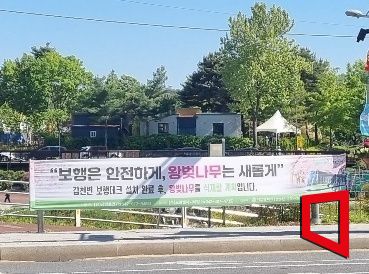 지난 4일 대전 유성구 일대에 ‘트램’ 설치를 위한 왕벚나무 벌목 안내 표지 현수막이 걸려 있는 모습. 사진=문혜원 기자