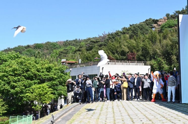 第11届牛浦朱鹮野外放飞活动举行。昌宁郡供图