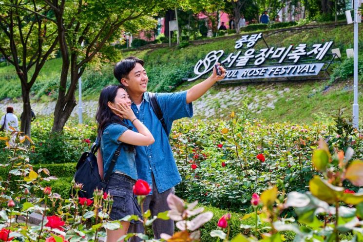 Last year’s view of the Jungnang Seoul Rose Festival. Provided by Jungnang-gu.