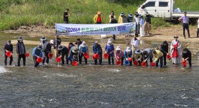 全北井邑市11日在当地主要河川东津川一带放流了3万尾幼鳗鱼。照片由井邑市供图