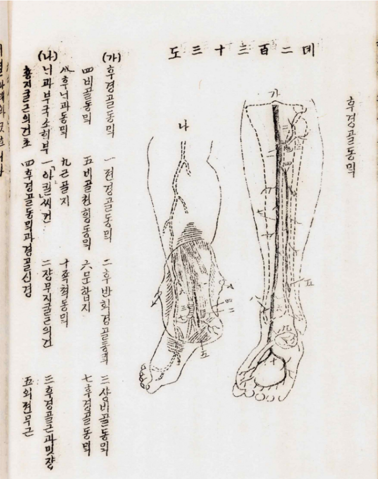 최초 한글 해부학 교과서, 국가등록문화유산으로