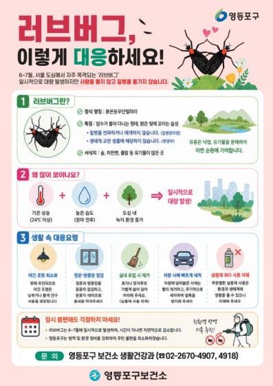 러브버그 대처 안내문. 영등포구 제공.