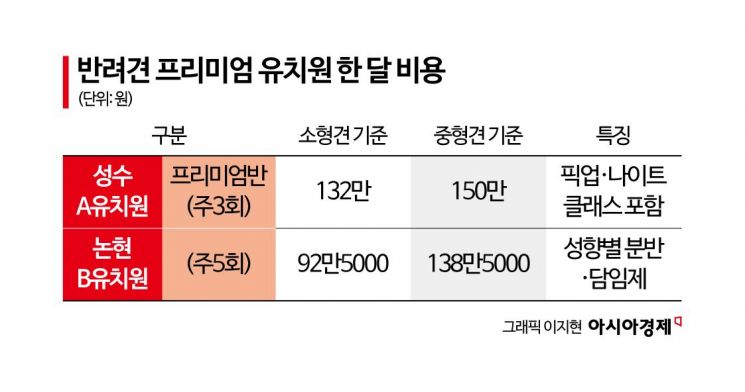 한 달 150만원짜리 유치원 "대학 등록금보다 비싸다"…댕댕이도 사교육 시대[펫&라이프]