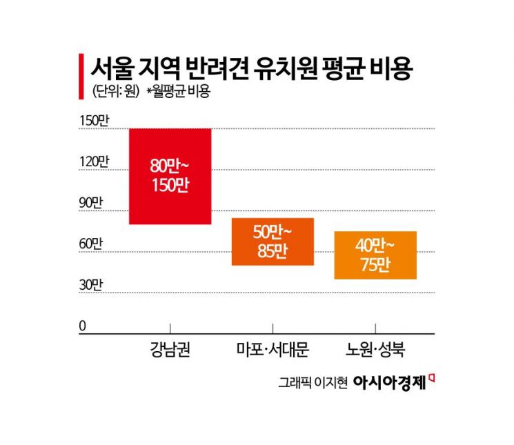한 달 150만원짜리 유치원 "대학 등록금보다 비싸다"…댕댕이도 사교육 시대[펫&라이프]