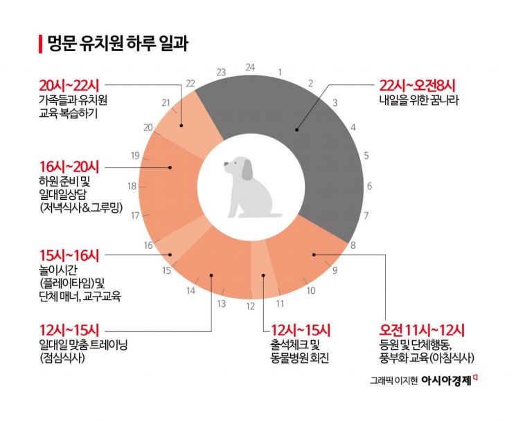 한 달 150만원짜리 유치원 "대학 등록금보다 비싸다"…댕댕이도 사교육 시대[펫&라이프]
