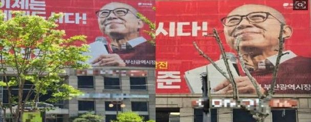 한 매체가 보도한 박형준 후보 현수막 비교사진. 이 매체는 후보 현수막이 가로수에 가려져 있어 이후 가지치기가 진행됐다는 주장이다. 실제로는 같은 가로가 아니다. [이미지출처=인터넷 캡처]