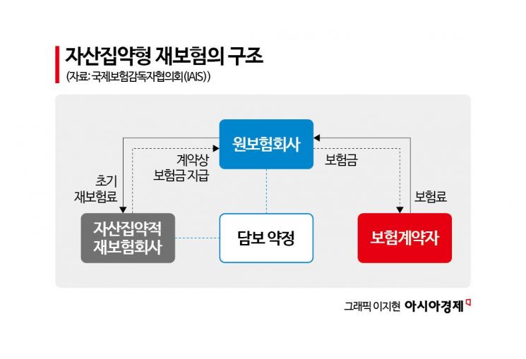 보험사 자본관리 해법 될까…'자산집약형 재보험' 주목