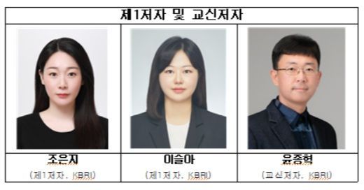 알츠하이머 '퍼지는 경로' 찾았다…뇌 부위별 분자 회로도 첫 규명[과학을읽다]