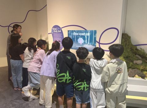 2026 Museum and Art Gallery Week "After the Storm, The Forest Begins Again." Gyeonggi Provincial Children's Museum