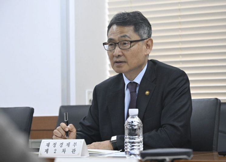 허장 재정경제부 차관이 20일 서울 종로구 정부서울청사에서 주재한 외환시장 간담회에서 모두발언을 하고 있다. 재정경제부