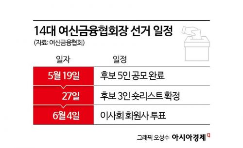 차기 여신금융협회장 정치인 '다크호스' 출현…"7월 임기 시작 가능성"