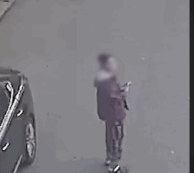 큰부리까마귀가 이 시기 공격적으로 변하는 이유는 새끼 보호 본능 때문이다. 매년 5월 전후는 새끼가 둥지를 떠나 독립을 준비하는 시기다. 아직 비행이 서툰 새끼는 나무 아래나 사람이 지나다니는 지면 가까이에 머무는 경우가 있다. MBC뉴스