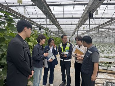 함평군 농업기술센터 관계자들이 지난 21일 함평군 엄다면 소재 시설하우스 농가를 방문해 전남도농업기술원과 함께 농작업 안전재해예방 현장지원을 실시했다. 함평군 제공
