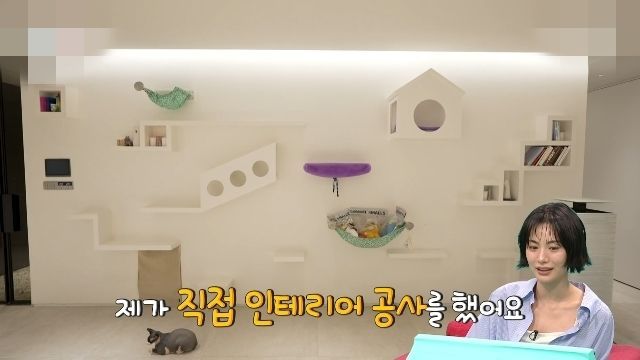 관찰예능은 출연자의 일상을 자연스럽게 보여주는 형식상 자택 내부와 주변 환경이 노출되기 쉽다. 시청자에게 친근감을 주는 장점이 있지만, 외관과 동선, 주변 지형지물, 내부 구조 등이 범죄에 악용될 수 있다는 지적도 꾸준히 제기돼 왔다. MBC 예능 프로그램 '전지적 참견 시점'