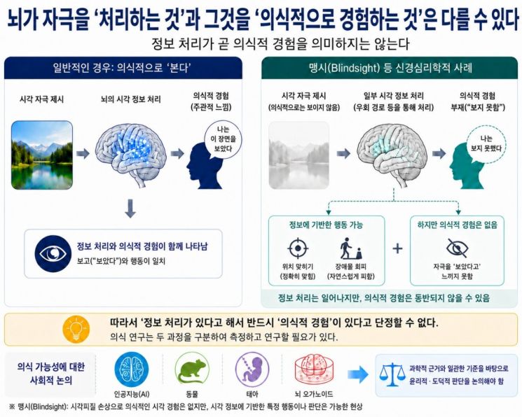 연구 내용 이해를 돕는 참고 이미지. 정보처리와 의식적 경험의 차이. 연구진 제공