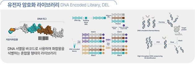 Schematic of the DNA-Encoded Library (DEL). Provided by the research team.