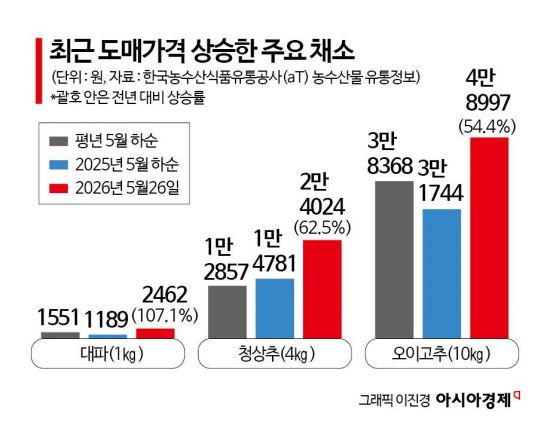 때이른 여름 채소값 경고등…대파 도매가, 한 달새 213% '껑충' 