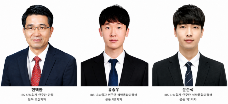 "AI가 최고 촉매 찾았다"…IBS, 그린수소용 차세대 촉매 개발[과학을읽다]