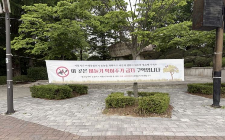 "이러면 앞으로 과태료 100만원" 비둘기 먹이 주지 마세요…서울시 단속 대폭 강화
